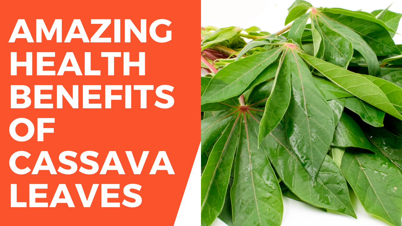 Cassava regeneration helps